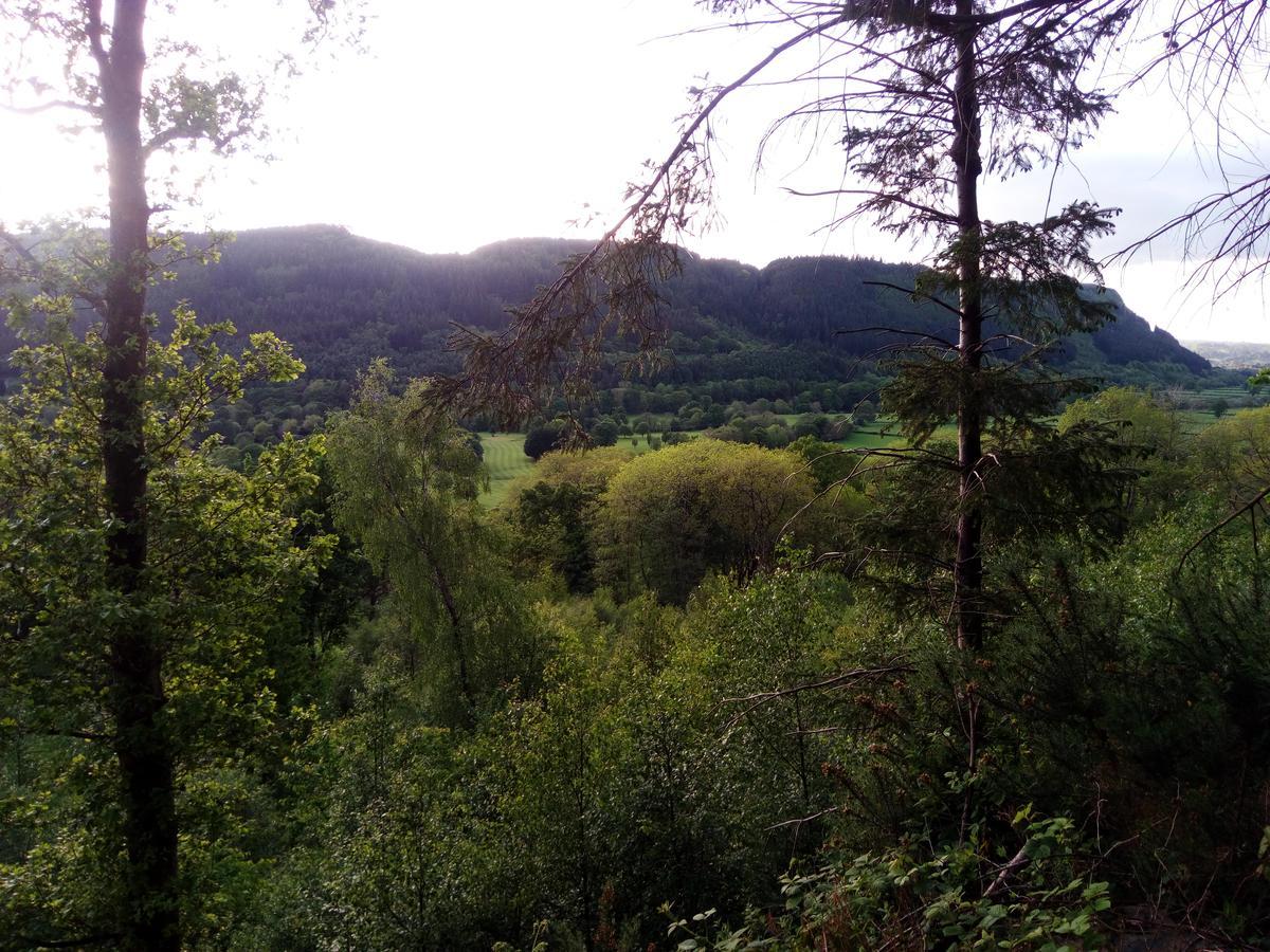 Aberconwy House B&B ベトウス・ア・コーエド エクステリア 写真